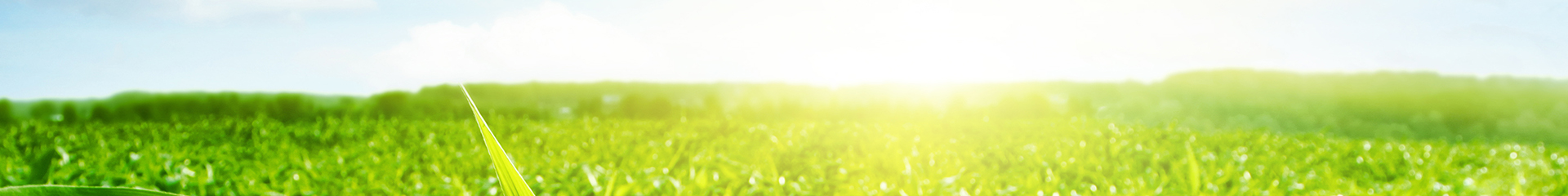 河北圣天管件集團(tuán)有限公司